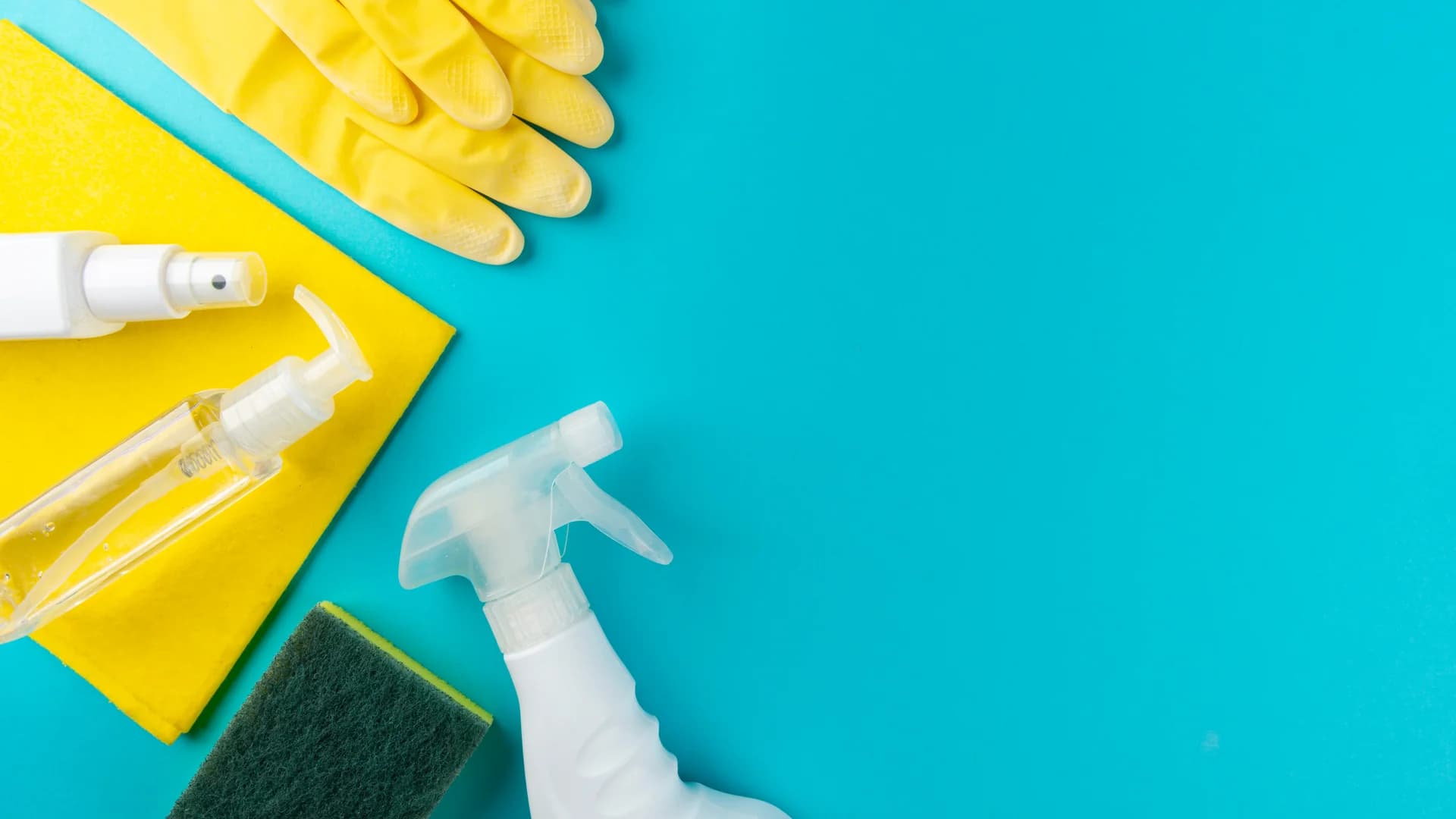 Cleaning professional
